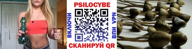 купить наркотик  Городище  Псилоцибиновые грибы ЛСД 